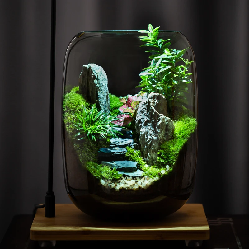 【京十八专属】青山桌面绿植微景观创意办公室植物盆景送礼高端摆件