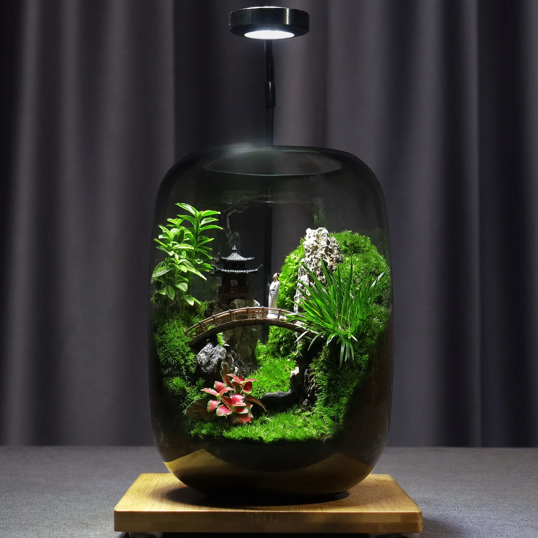 青苔壹品【忆江南】中式园林苔藓微景观创意绿植造景成品办公室摆件