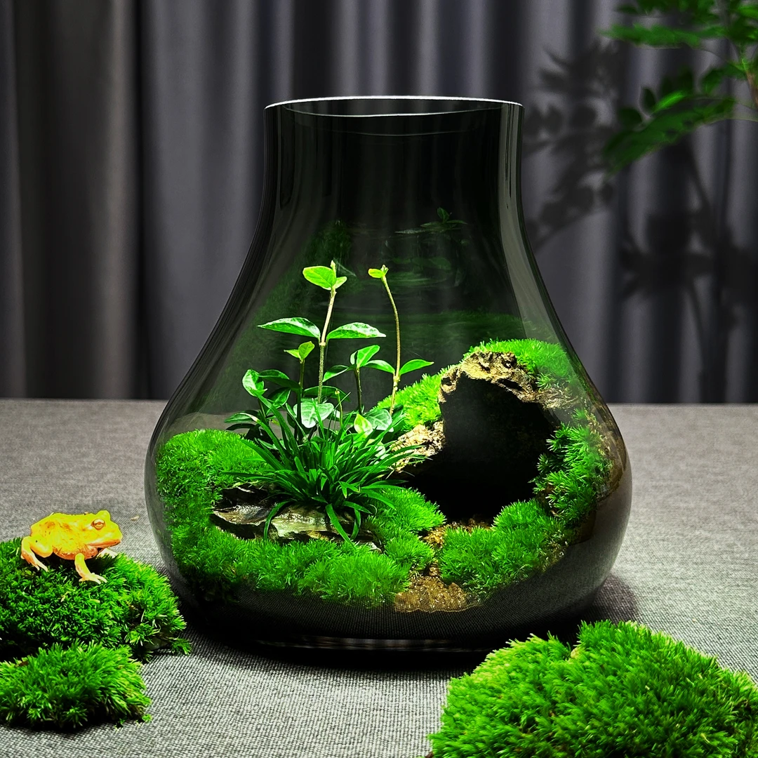 青苔壹品【洞穴】苔藓微景观创意桌面绿植办公室盆景植物高端摆件