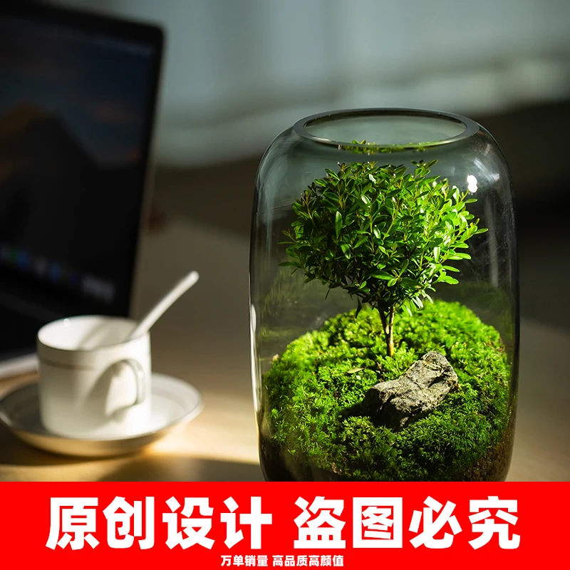 青苔上品【生命之树】创意桌面微景观办公室盆景摆件成品送礼礼物