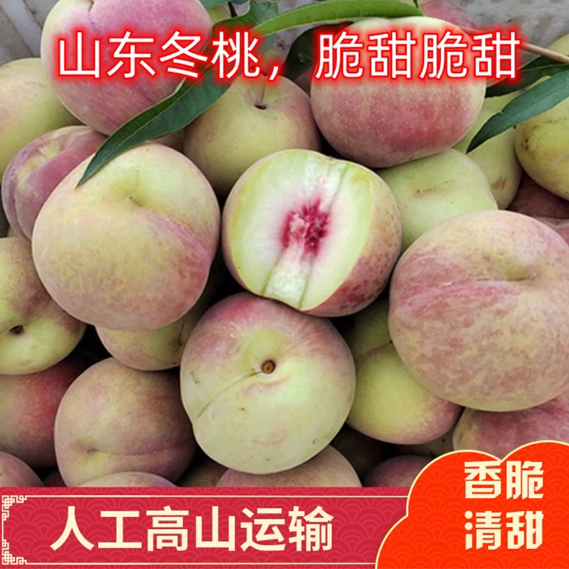 山东青州蜜桃现摘新鲜桃子脆甜毛桃水果离核冬桃应季雪桃金秋蜜桃