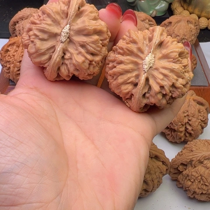 文玩核桃把件粗筋46