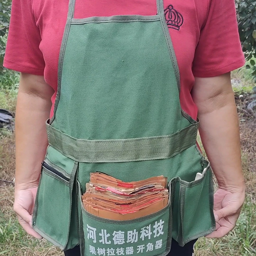 园艺工具套袋专用加厚帆布腰包果园修剪围裙包