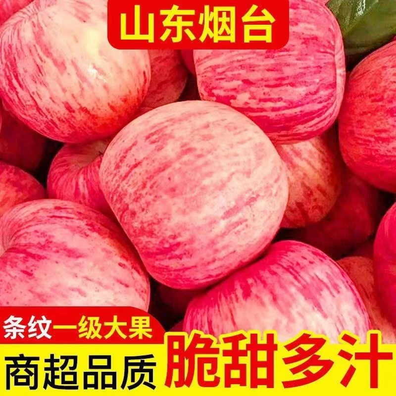 2024新鲜正宗陕西洛川苹果自然成熟酸甜口原产地色泽直发霜降热销