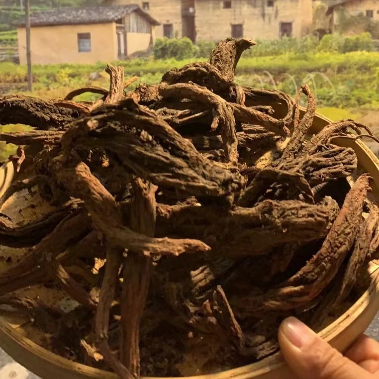 【丹参灵芝】山货现称现拍丨山村夫人推荐250克/500克农产品