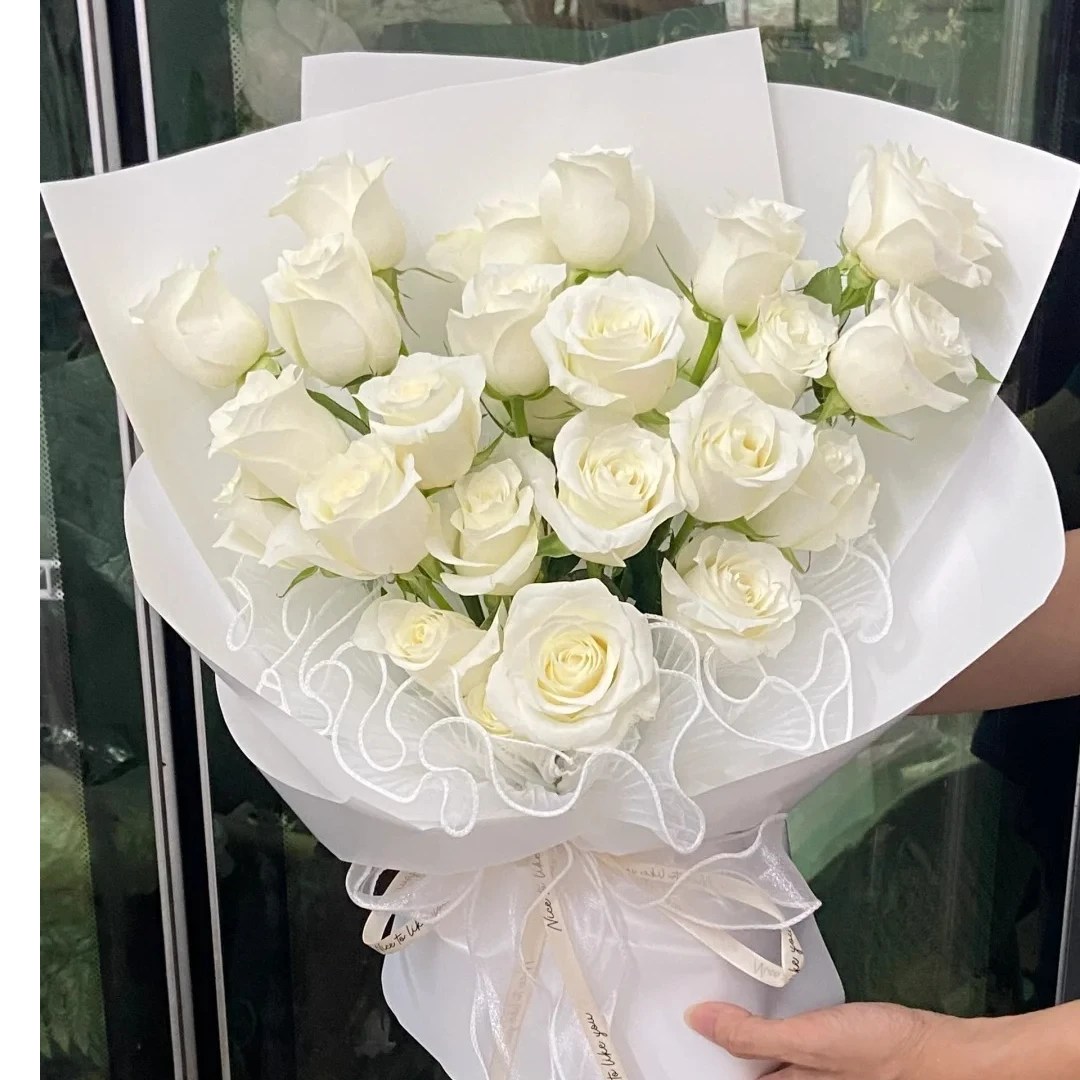 21朵白骄傲玫瑰花束