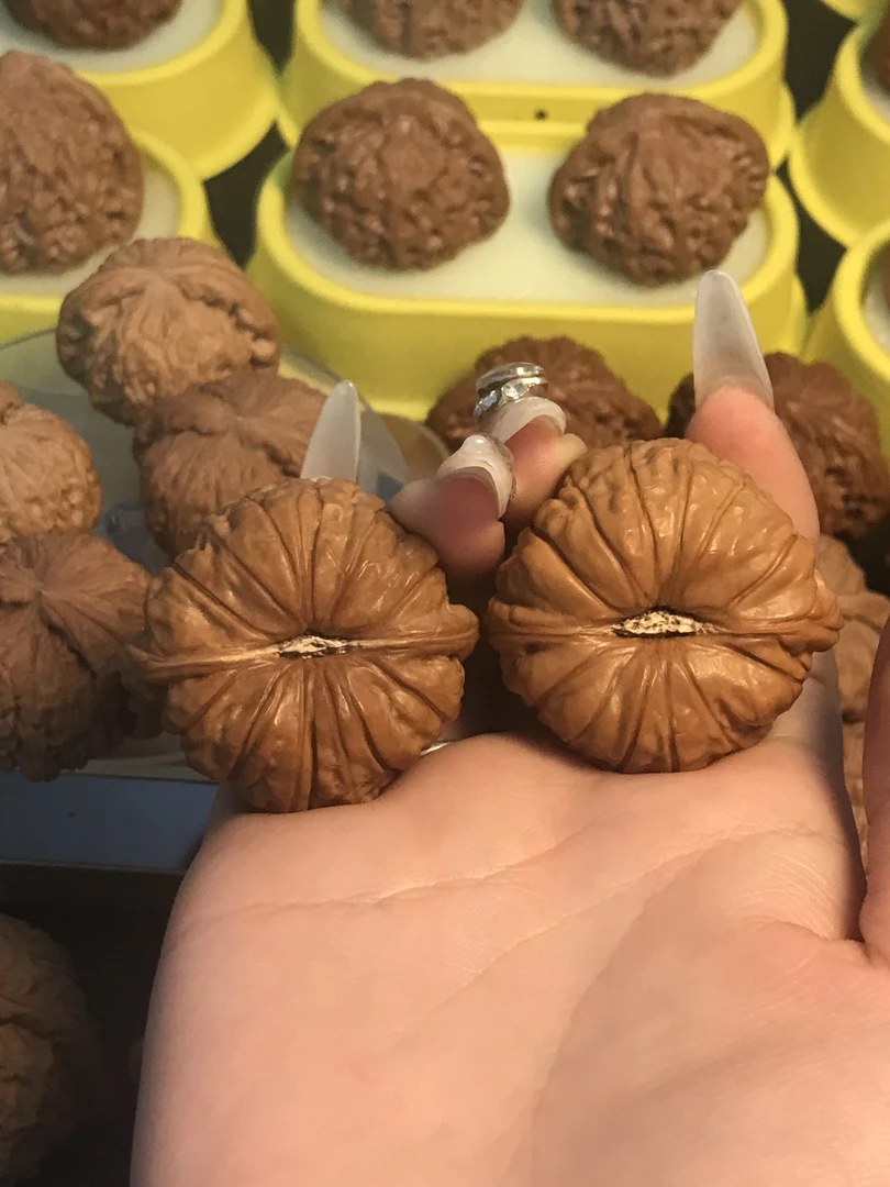 南瓜墩全品无修核桃