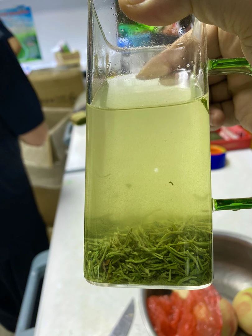 2024信阳毛尖雨前茶沫（芽尖多）500g生态毛尖