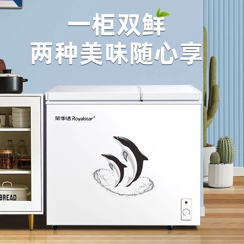 荣事达冰柜一级能效大容量冷冻冷藏两用保鲜速冻冰柜商用迷你省电