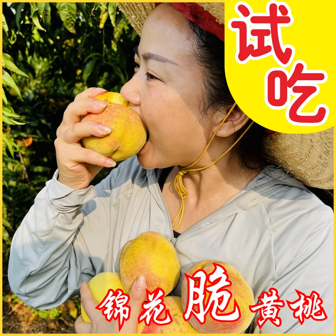 新人试吃【锦花脆黄桃】【锦绣黄桃】2斤包邮原产地多汁新鲜