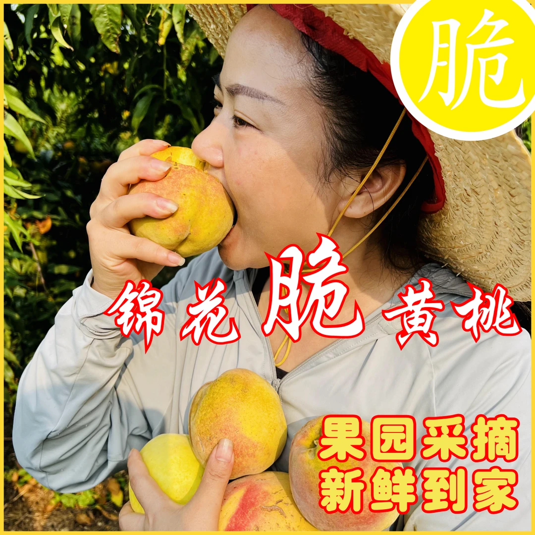 锦花脆黄桃锦绣黄桃正宗荆州紫岩黄桃红心新鲜水果现发包邮