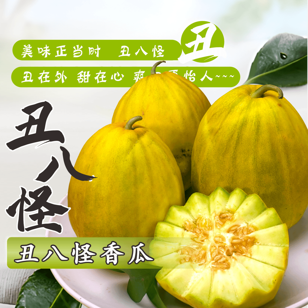 丑八怪香瓜新鲜采摘薄皮大果甜瓜3斤5斤包邮