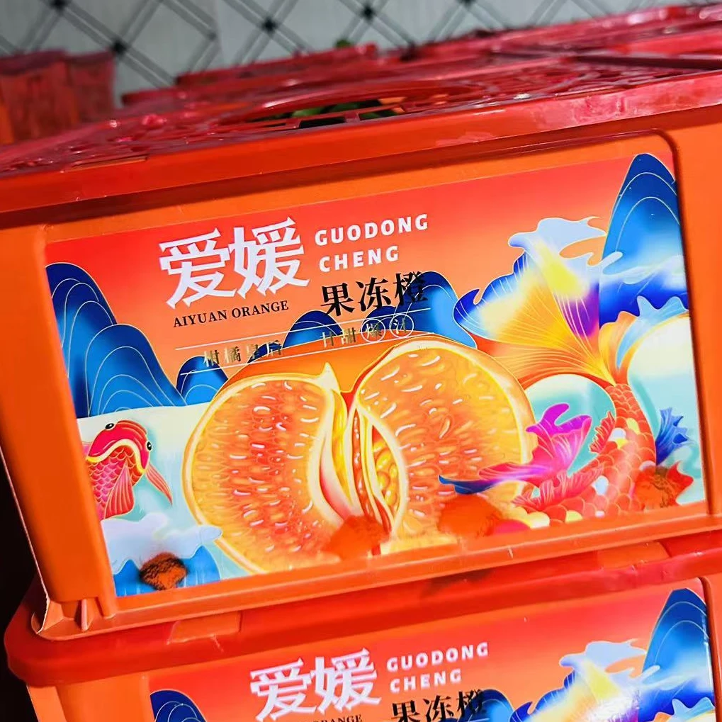 【特级爱媛果冻橙礼盒】一口爆汁 汁水充足 1箱 带箱6斤左右