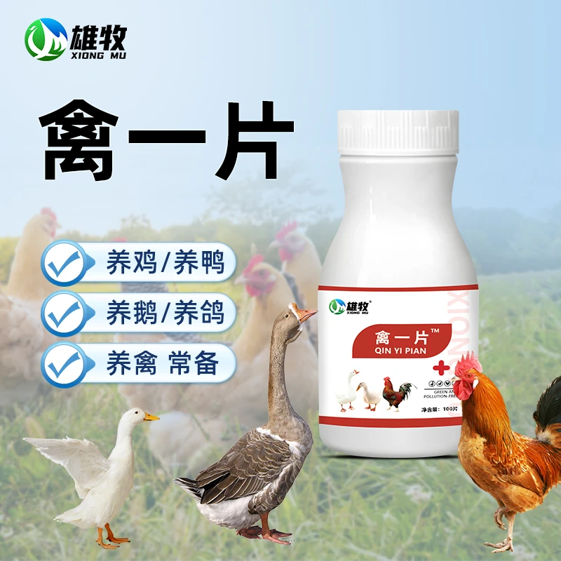 雄牧禽一片鸡鸭鹅鸽子禽类适用养殖家通用家禽常备厂家直销添加剂