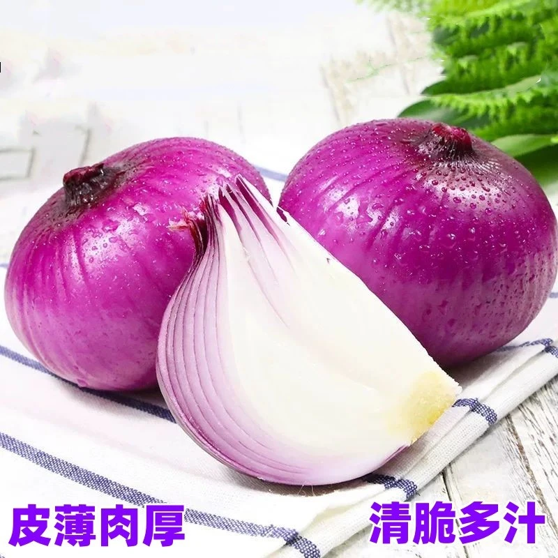 新鲜水果洋葱皮薄肉质饱满鲜嫩清脆爽口微辣多汁凉拌5/9斤装