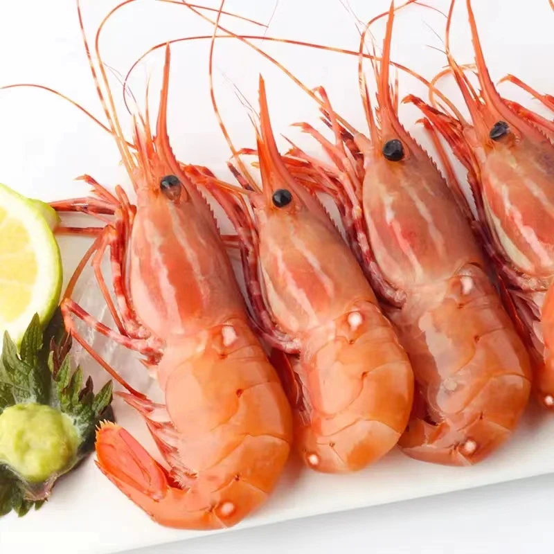 加拿大牡丹虾 大号1KG  超低温 新鲜日料刺身料理冷冻