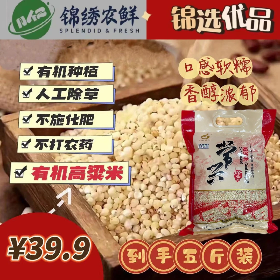 黑山6A高粱米新米软糯5斤东北粗粮有机农家特产白高梁米
