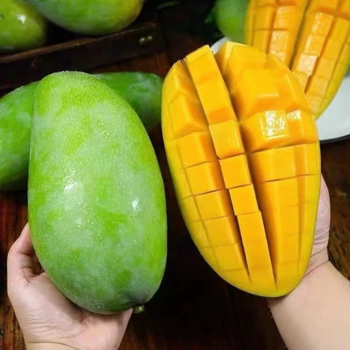 【放软食用】甜心云南大青芒金煌芒大果无丝薄核果冻肉新鲜水果