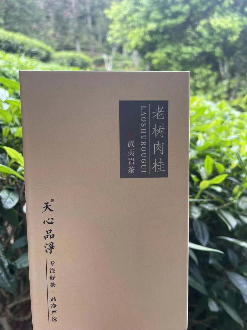 天心品净 正岩 肉桂狮子峰老树肉桂品鉴装6泡8.3g