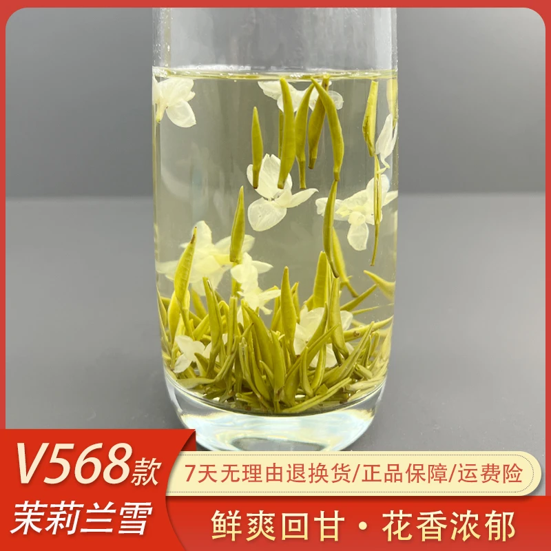 V568茉莉兰雪2025新茉莉花茶银针飘雪花香高扬鲜爽回甘茶厂直供