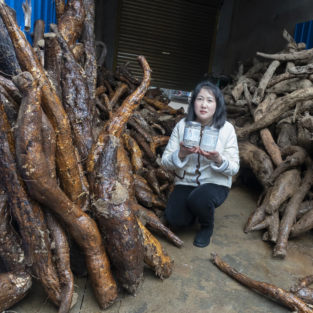 深山野葛根做的粉 500克