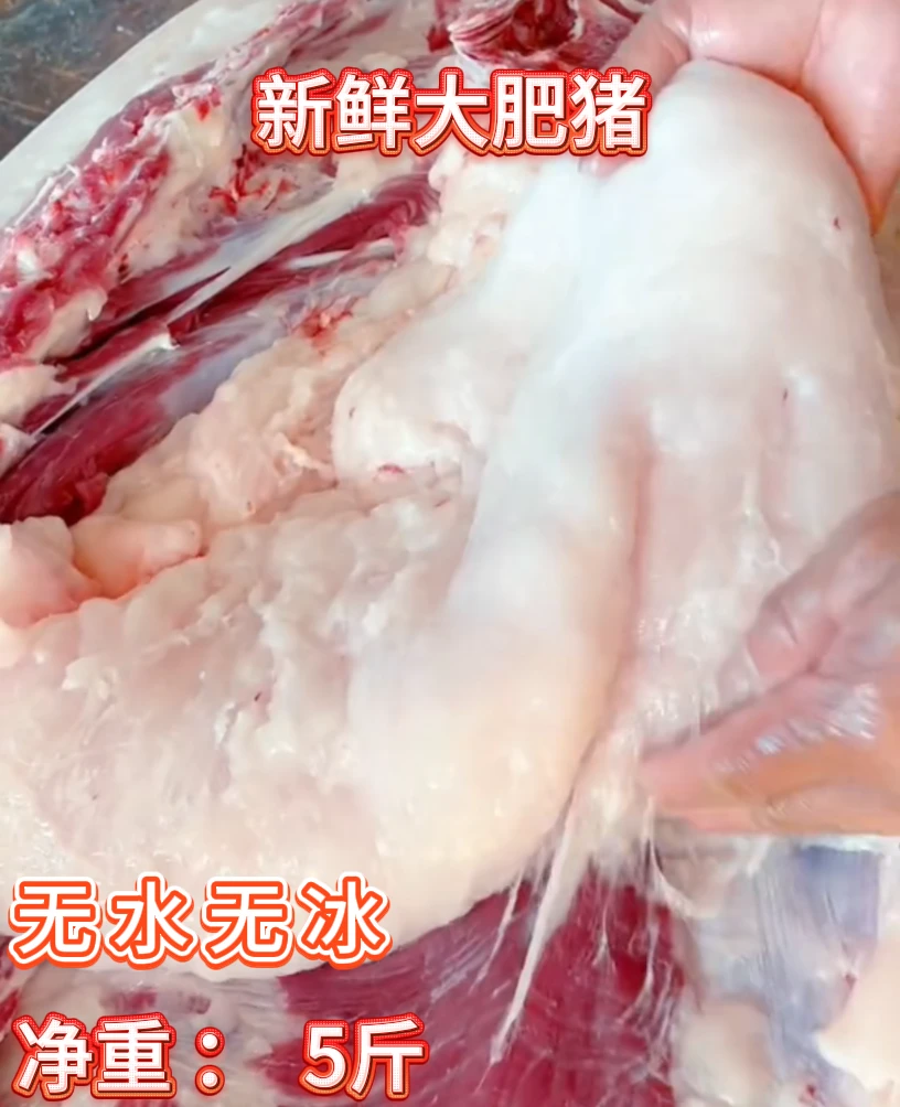 新鲜速冻猪板油猪油精选猪大油