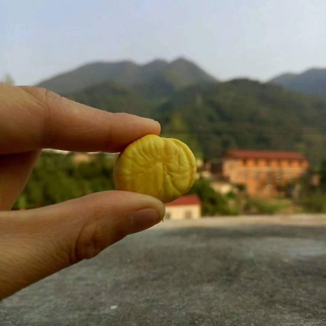 李庙野生新鲜板栗农家现摘野小栗子香甜毛栗子6斤装全国快递包邮