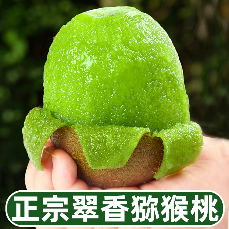 【正宗翠香】陕西周至正宗翠香猕猴桃，纯甜多汁9斤净果