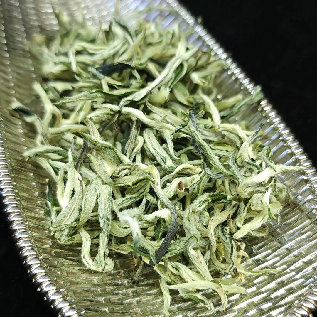 银芽绿茶2025年春茶特级高山绿茶鲜甜云太吉茶叶云南绿茶