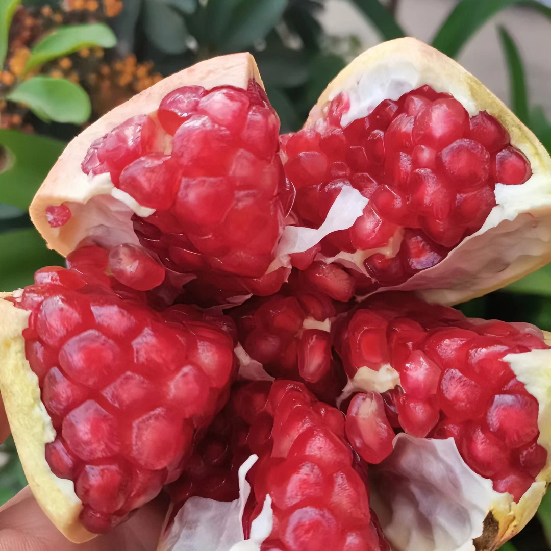 软籽石榴，连箱十斤装，一箱净重九斤多