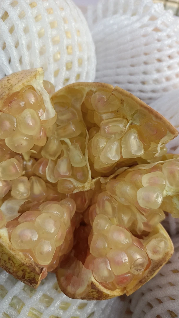 红花玉石籽怀远发货净含量9斤多