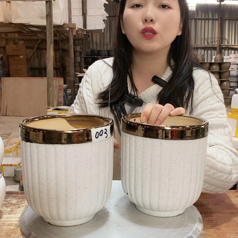 【闪购商品】陶瓷15cm以下金边菠萝14×16两只