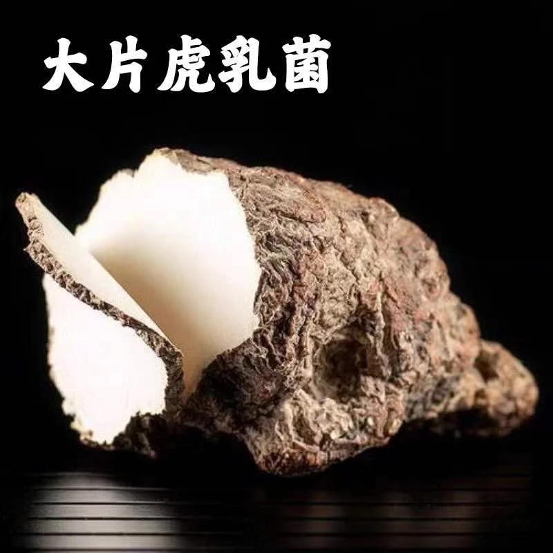 【虎乳菌】虎奶菌精选手工切片 虎奶 秋冬必备食用炖煮熬汤