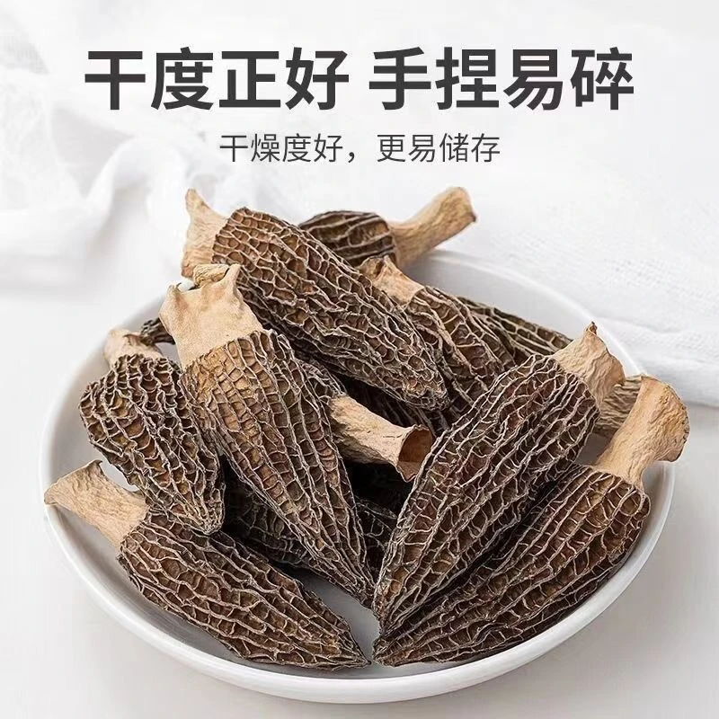 羊肚菌新鲜采摘晒干浓郁鲜香熬汤美味营养鲜美正宗