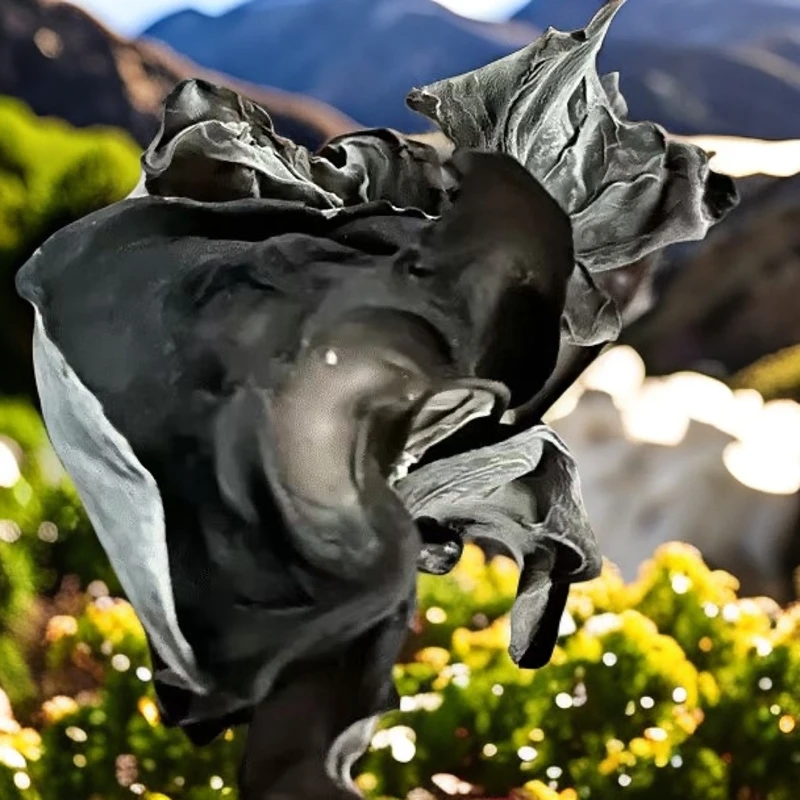 【阿凯专属】神农架深山老乡干货木耳(残疾创业店)