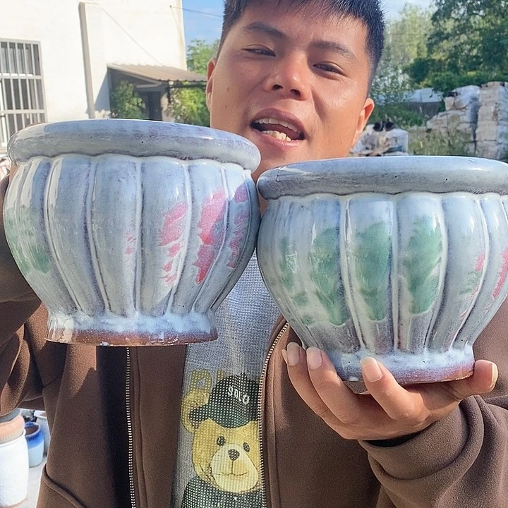 红陶20CM以下正品