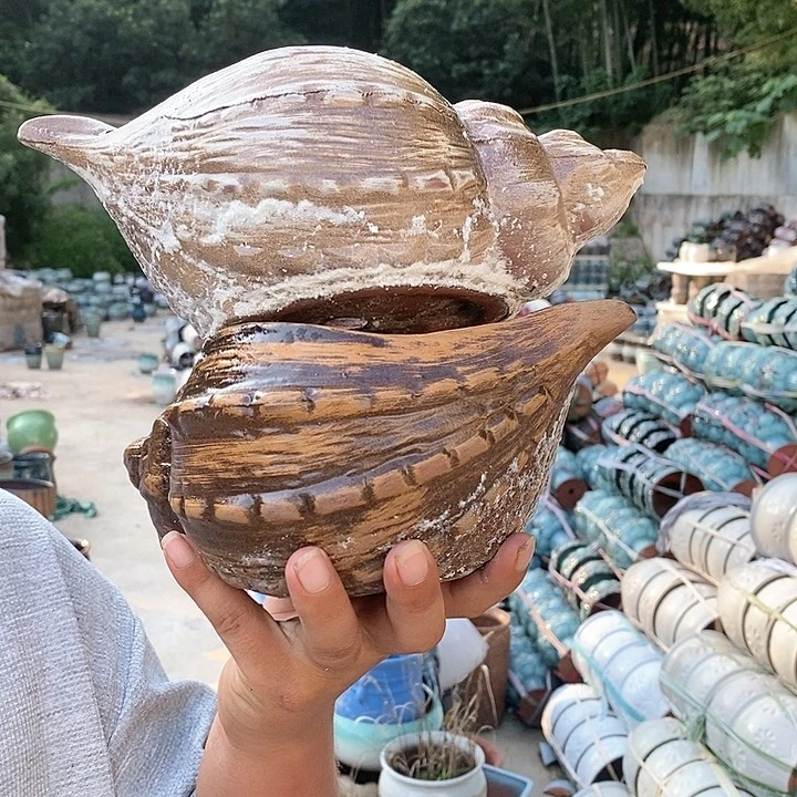红陶20CM以下海螺