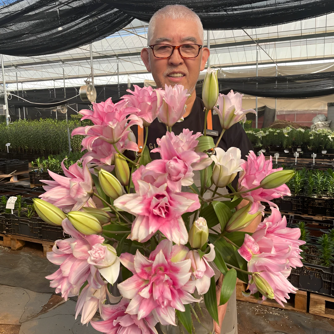 【伊莎贝拉鲜切花】重瓣百合香水百合鲜花鲜切花