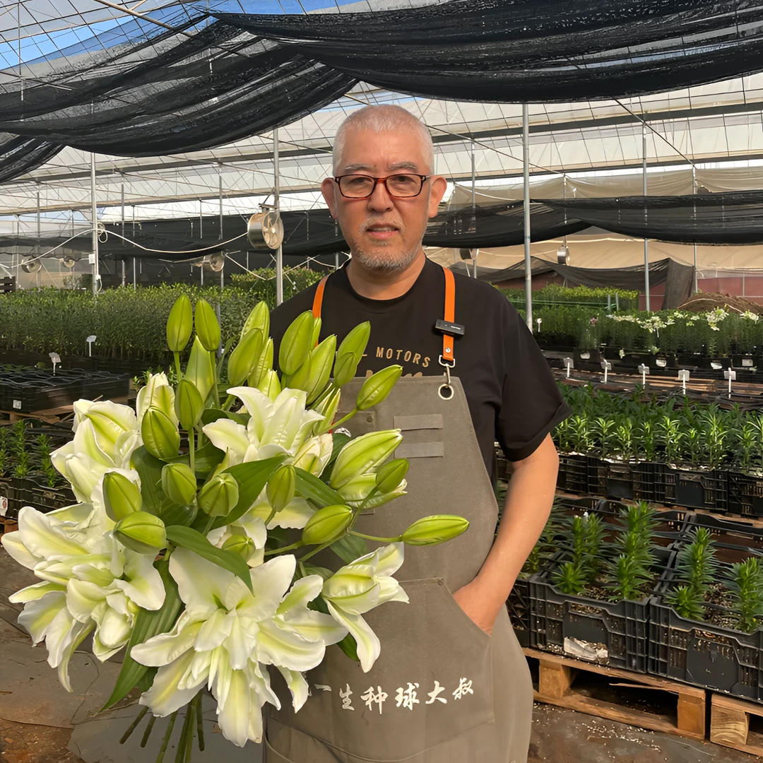 【艾莎】16/18重瓣香水百合进口多头多年生盆栽地栽百合种球包对版