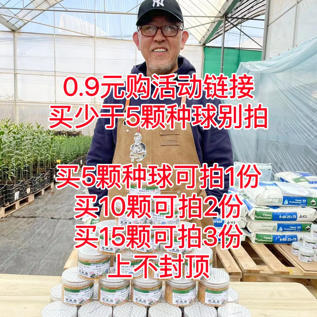 【奥绿肥1份】买5颗种球可拍1份-单买不发货