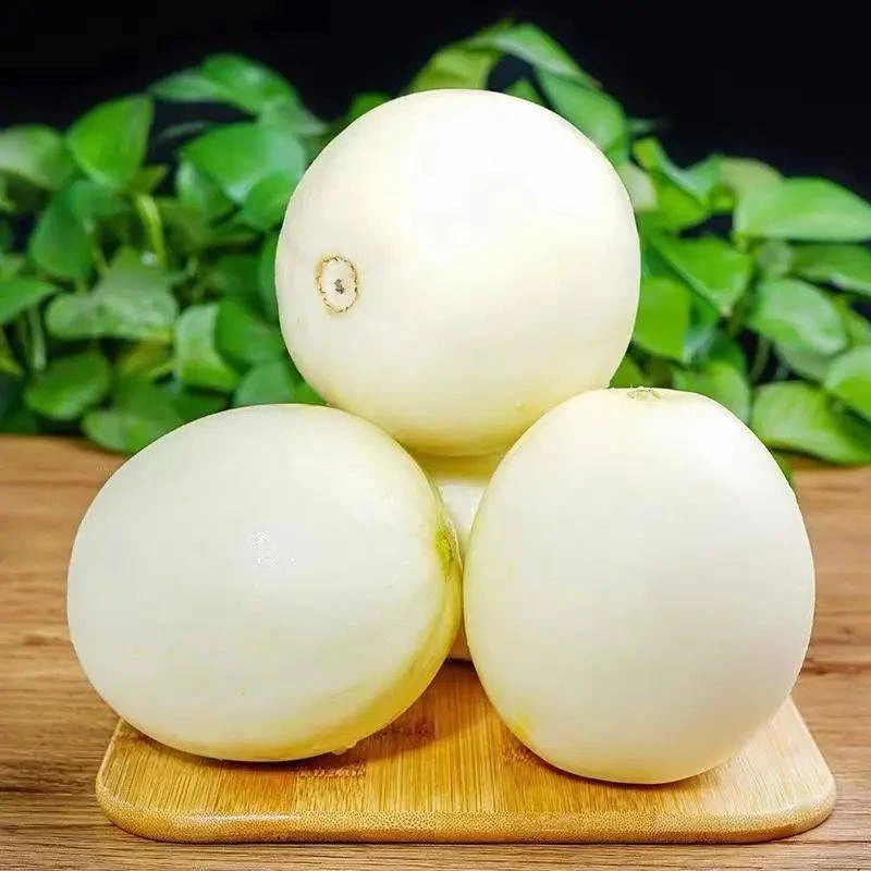 【阎良甜瓜】3斤清甜可口皮薄肉厚产地直发坏果包赔