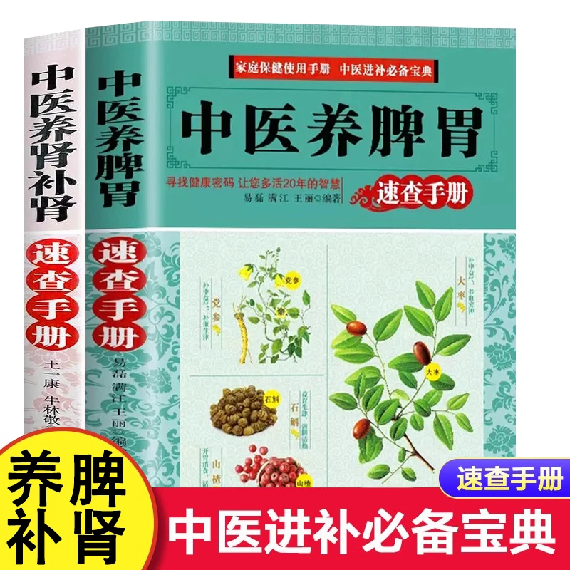 中医养肾补肾养脾胃速查手册饮食食谱药膳做法大全实用家庭保健书
