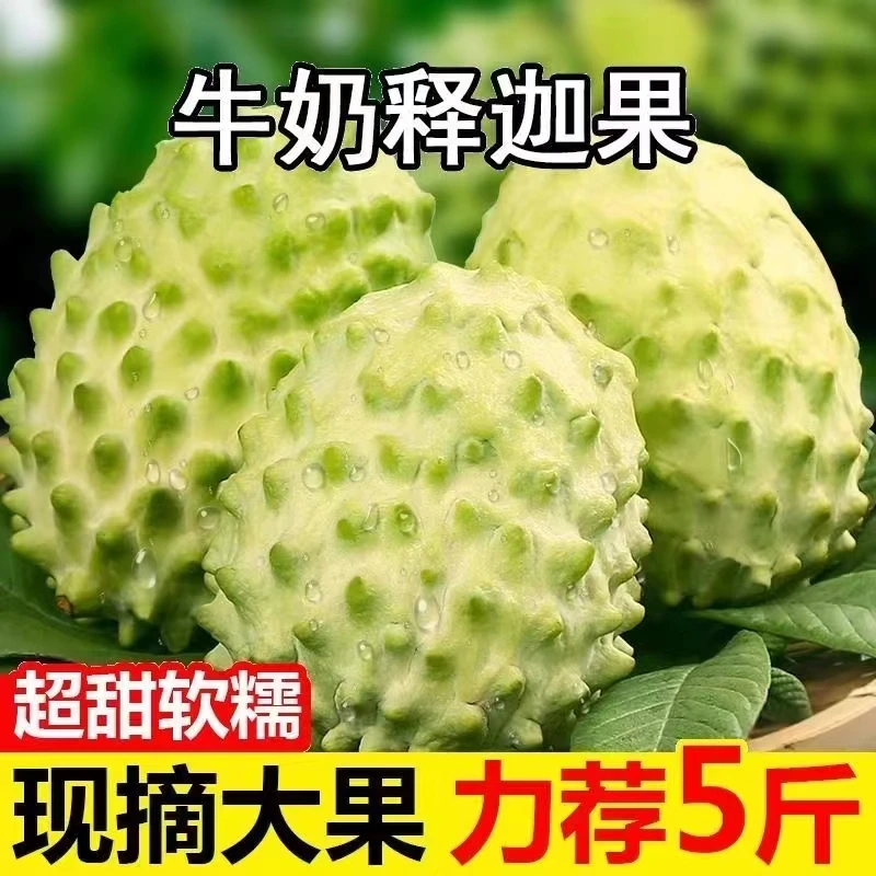 云南凤梨释迦果当季新鲜水果3斤/5斤礼盒FL