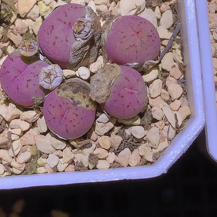 1111111111111111111111111