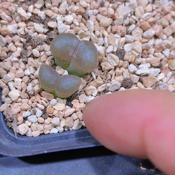 1111111111111111111111111