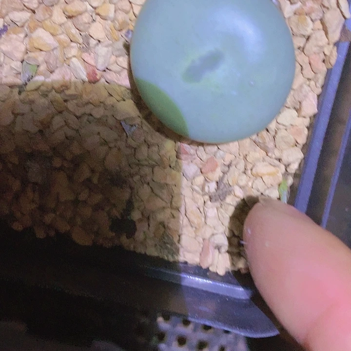 14111111111111111111