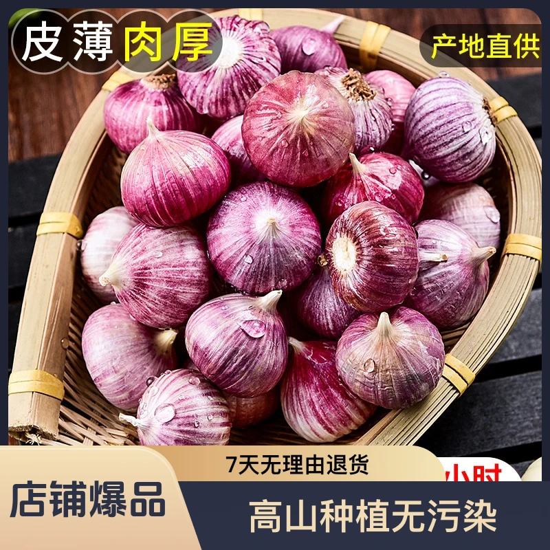大蒜独头蒜【特惠价】大蒜自然优质天然农家种植挑选大祘调味辛辣好