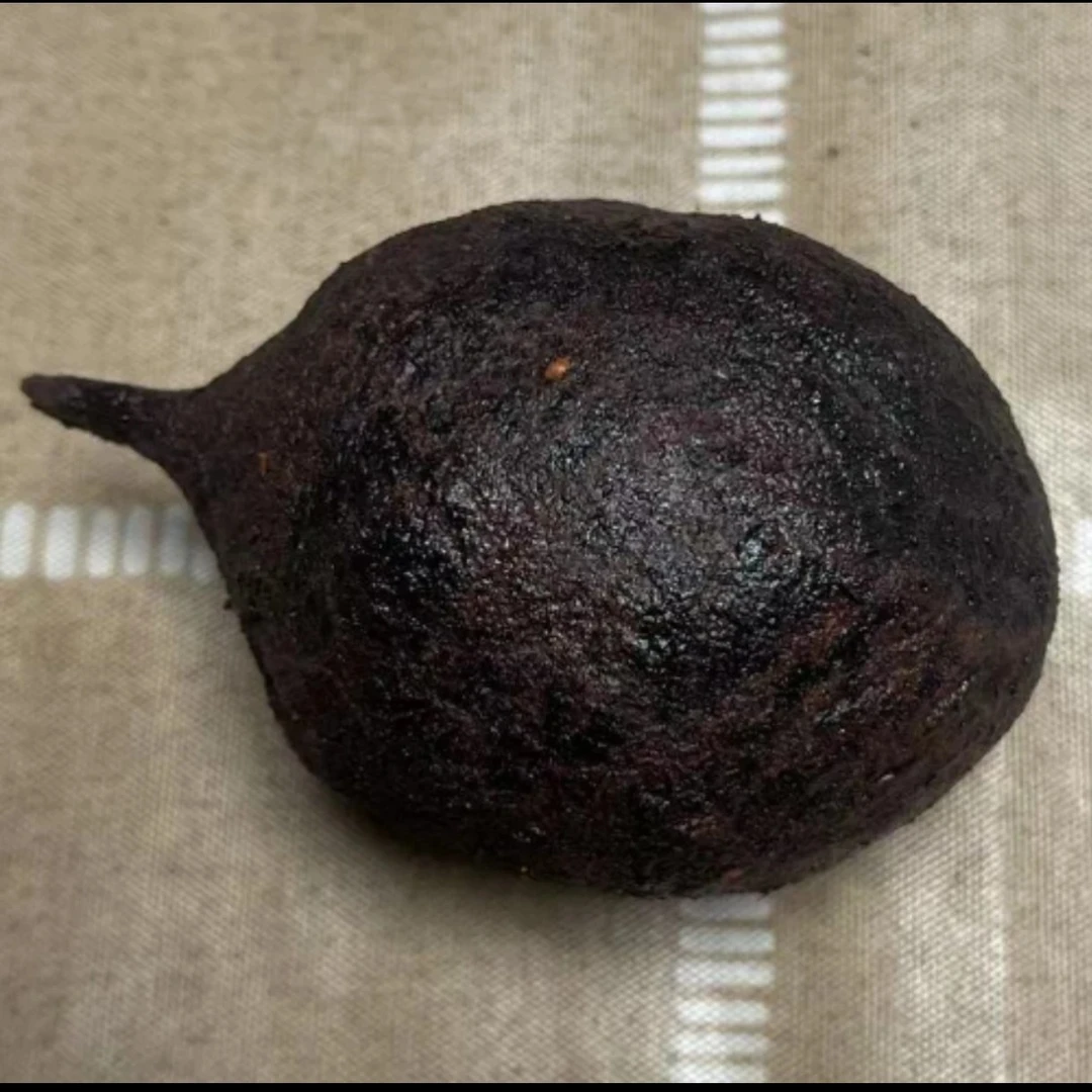 现切果-风化菩提果老果做脖挂-挂件挂坠【送绳子穿好绳子做成品】