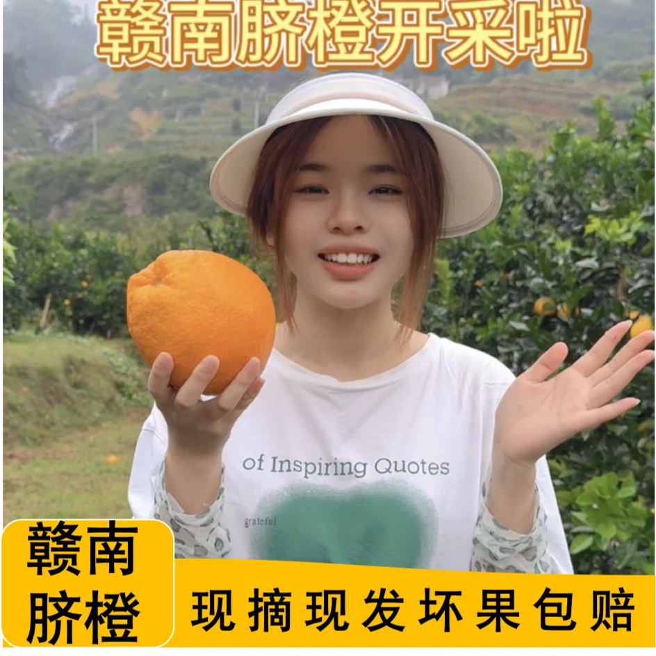 【橙乡表妹】B赣南脐橙精品中大果自家果园现采现摘果味浓九甜一酸