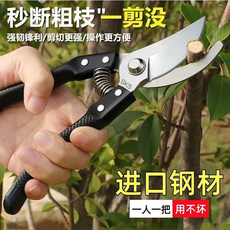 奎帝斯德系工艺果树修花大号剪枝修枝剪家用木葡萄枝修剪剪子嫁接